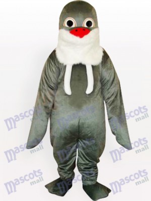 Grey Walrus mit weißem Bart und roter Nase Maskottchen Lustiges Kostüm