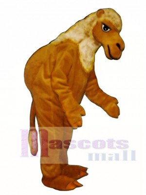 Kamel Maskottchen Kostüm