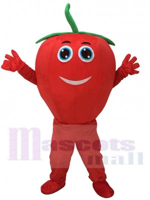 Nette rote Tomate mit Lächeln Maskottchen Kostüm
