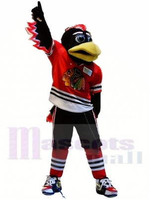 Chicago Blackhawks Tommy Hawk Maskottchen Kostüm