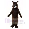 Brown Eichhörnchen Maskottchen Kostüme