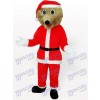 Grauer Bär in Santa Outfit Maskottchen Kostüm für Erwachsene