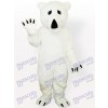 Tier Polar Eisbär Maskottchen Kostüm