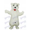 Weißes Eisbär Adult Maskottchen Kostüm Tier