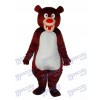 Braunbär Maskottchen Erwachsene Kostüm Tier