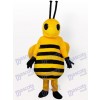 Kleines gelbes Bienen-Insekt-erwachsenes Maskottchen-Kostüm
