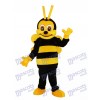 Kleine Biene Maskottchen Kostüm für Erwachsene Insekt