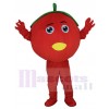 Tomate maskottchen kostüm