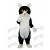Weiß Bauch Schwarz Katze Maskottchen Erwachsene Kostüm Tier