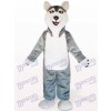 Grey Sled Wolf Hund Tier Maskottchen Kostüm