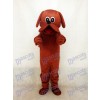 Nettes Rötliches Brown Rooney Hund Maskottchen Kostüm