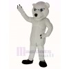 Muskel Polar Bär Maskottchen Kostüm Tier