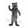 Heftig Grau Bulldogge Maskottchen Kostüm