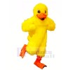 Gelb Leicht Ente Maskottchen Kostüme Karikatur