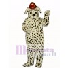 Netter dalmatinischer Hund mit Hut Maskottchen Kostüm Tier