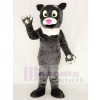 Behaarte graue Katze Maskottchen Kostüme Tier