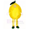Gelbe Lemon Maskottchen Kostüme Pflanze