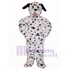 Niedlich Dalmatiner Hund Maskottchen Kostüm Tier 