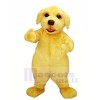 Gelb Pelzig Hund Maskottchen Kostüme Tier