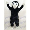Neues schwarzes Gorilla Maskottchen Kostüm Tier
