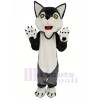 Süß Grau Wolf Maskottchen Kostüm Tier