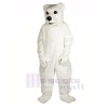 Hoch Qualität Polar Bär Maskottchen Kostüme Karikatur