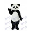 Panda Erwachsene Maskottchen Kostüm