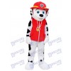 Paw Patrol Marshall Hund Dalmatiner Maskottchen Kostüm Cartoon Anime