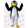 Schwarz Pinguin Erwachsene Maskottchen Lustiges Kostüm