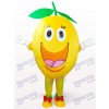 Frucht Orange Plüsch Maskottchen Kostüm