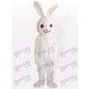 Rosa farbenes Nasen Osterhasen Kaninchen erwachsenes Tier maskottchen Kostüm