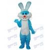 Ostern blaues Kaninchen Maskottchen erwachsenes Kostüm Tier