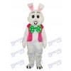 Ostern Rosa Weste Kaninchen Maskottchen Erwachsene Kostüm Tier