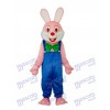 Ostern Robbie Kaninchen Maskottchen Erwachsene Kostüm Tier