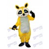Gelb Waschbär Maskottchen Erwachsene Kostüm Tier