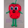 Erdbeere maskottchen kostüm