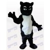  Schwarzen Skunk Erwachsenen Maskottchen kostüm