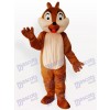 Eichhörnchen Boy Tier Maskottchen Lustiges Kostüm