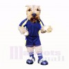 Fußball Hund Mit Blau T-Shirt Maskottchen Kostüme Schule