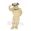 Realistisch Bulldogge Maskottchen Kostüme Karikatur