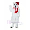 Polar Bär Mit Hut Maskottchen Kostüme Karikatur