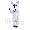 Weiße Nashorn Maskottchen Kostüme