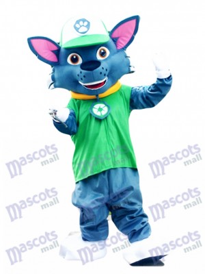 Paw Patrol Recycling Ökologie Pup Rocky Maskottchen Charakter Kostüm Eco Pup