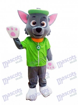 Paw Patrol Ökologie Pup Rocky Maskottchen Charakter Kostüm