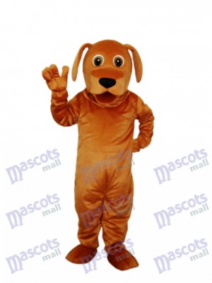 Golden Hund Maskottchen Erwachsene Kostüm Tier
