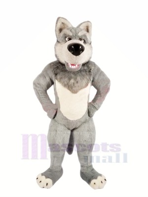 Grau Wolf mit Groß Nase Maskottchen Kostüme Karikatur