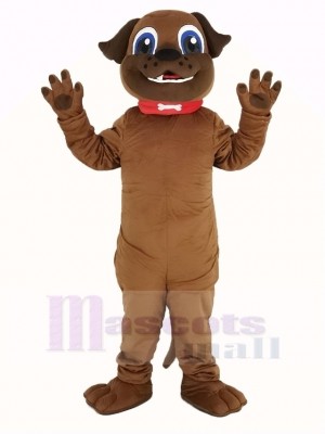 Braun Hündchen Hund Maskottchen Kostüm
