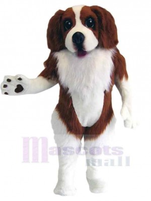 Braun und weiß Spaniel-Hund Maskottchen Kostüm Tier