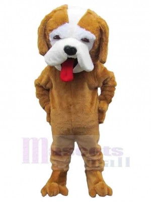 Pikanter brauner Hund Maskottchen Kostüm Tier