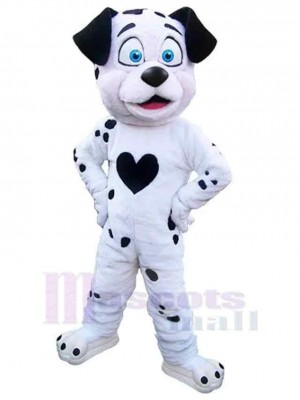 Schwarz-weißer Hund Dalmatiner Maskottchen Kostüm Tier mit blauen Augen